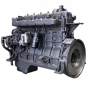 Дизельный двигатель WOLING WLG450